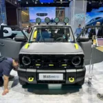 geome panda mini ev front