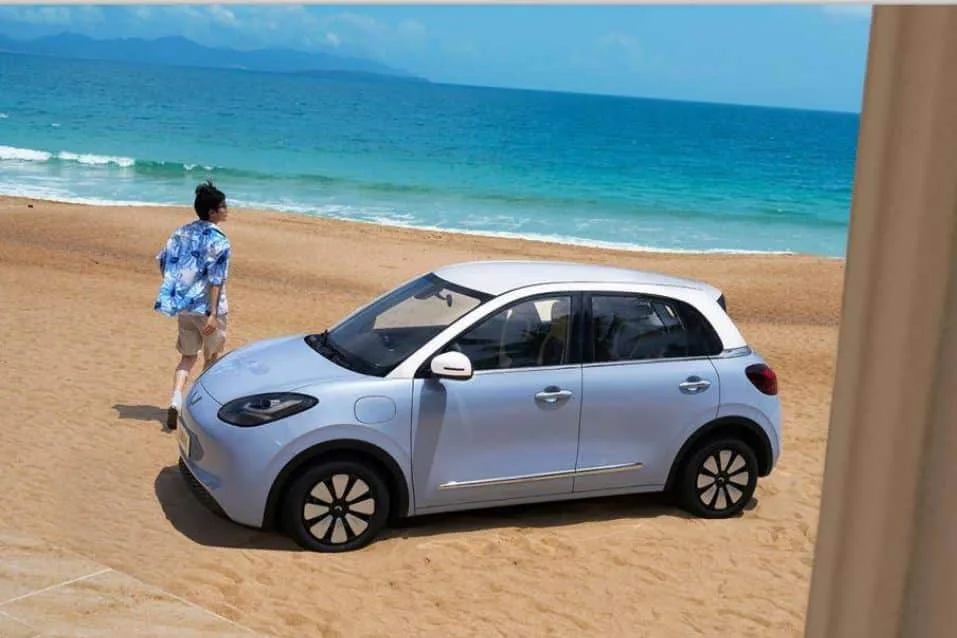 Wuling Bingo 2024
