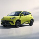 BYD Dolphin Surf